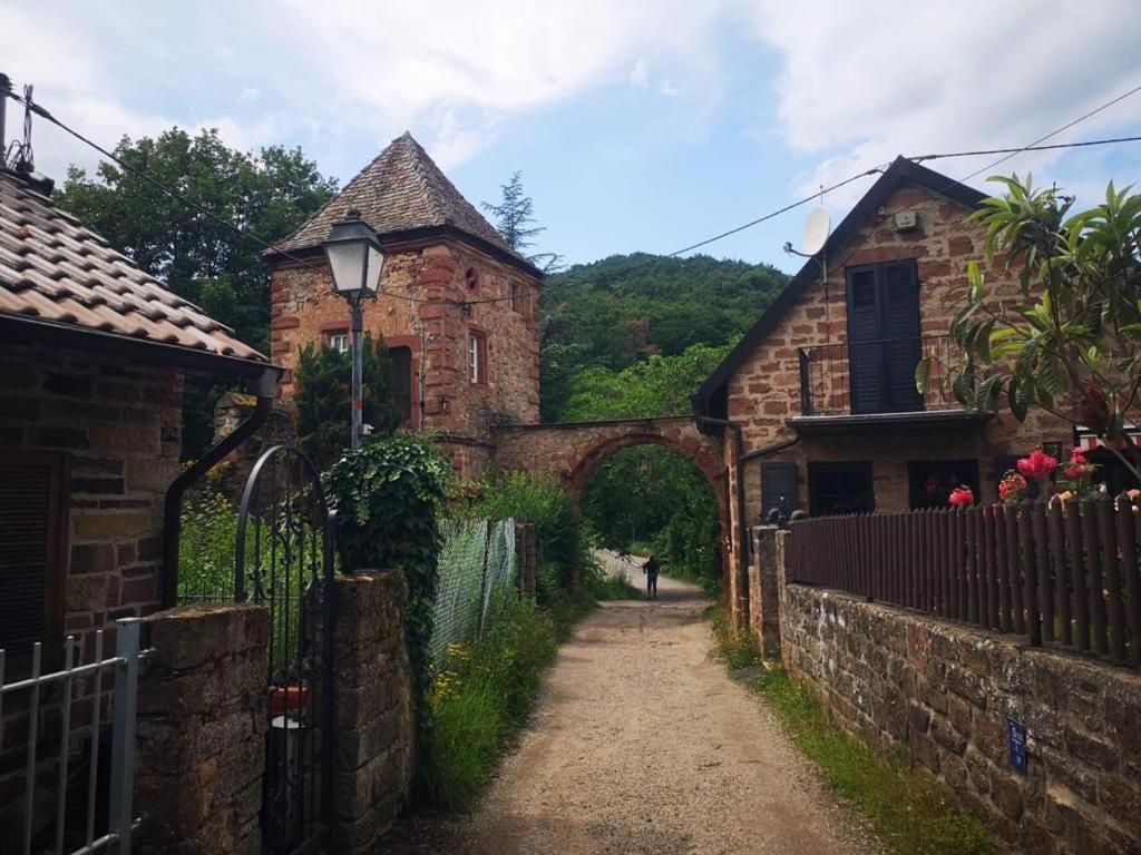 Wohnen Im Herzen Der Pfalz Neustadt an der Weinstraße المظهر الخارجي الصورة