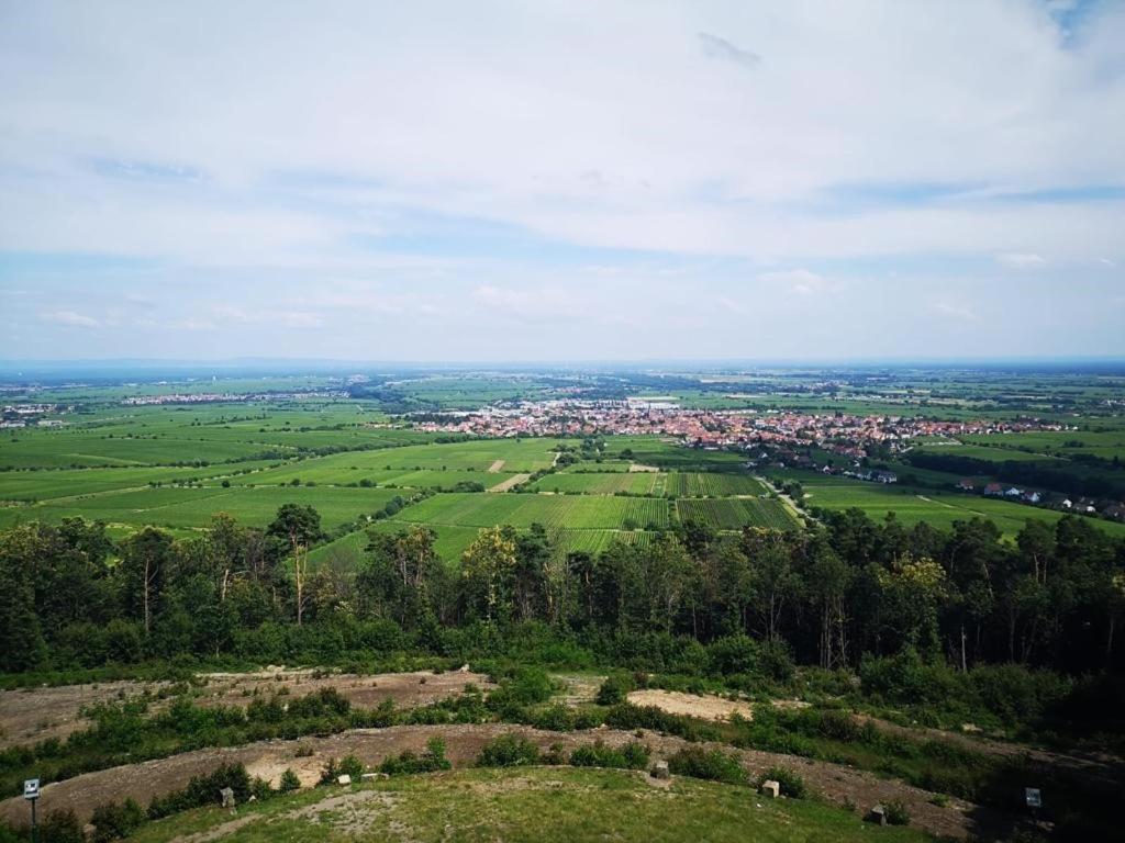 Wohnen Im Herzen Der Pfalz Neustadt an der Weinstraße المظهر الخارجي الصورة